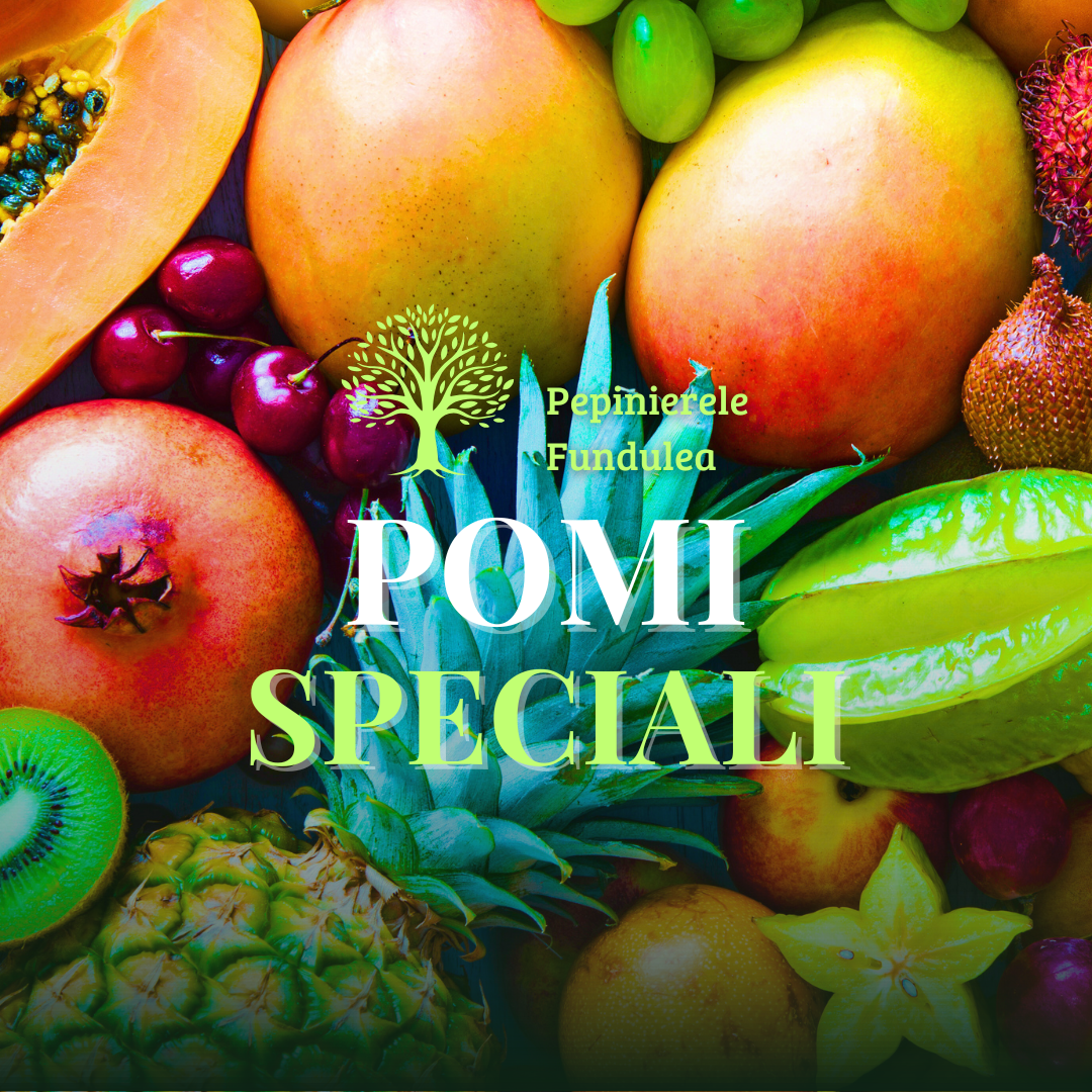 Pomi fructiferi speciali