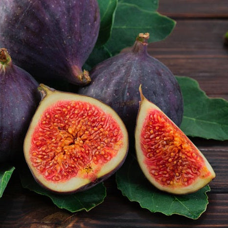 Smochin Black Mission