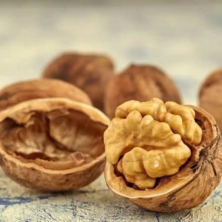 Nuc Urias de Rusia anul II